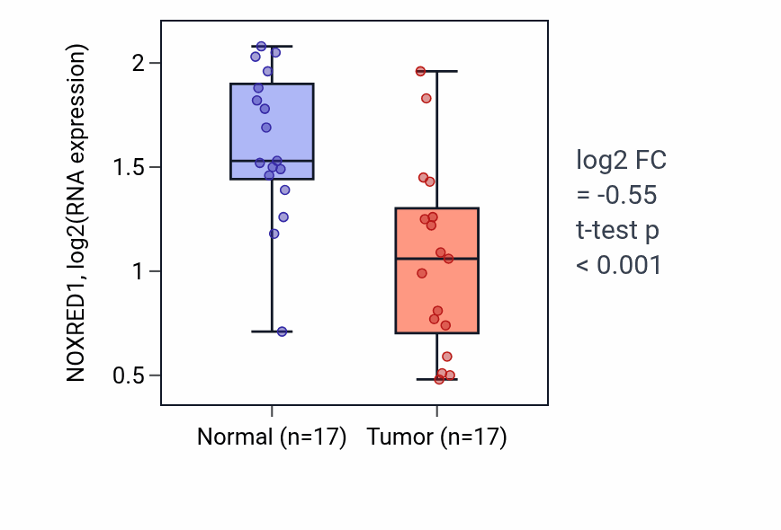 Tumor-vs-normal expression box plot for NOXRED1 RNA in THCA.