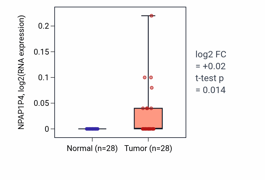 Tumor-vs-normal expression box plot for NPAP1P4 RNA in LUAD.