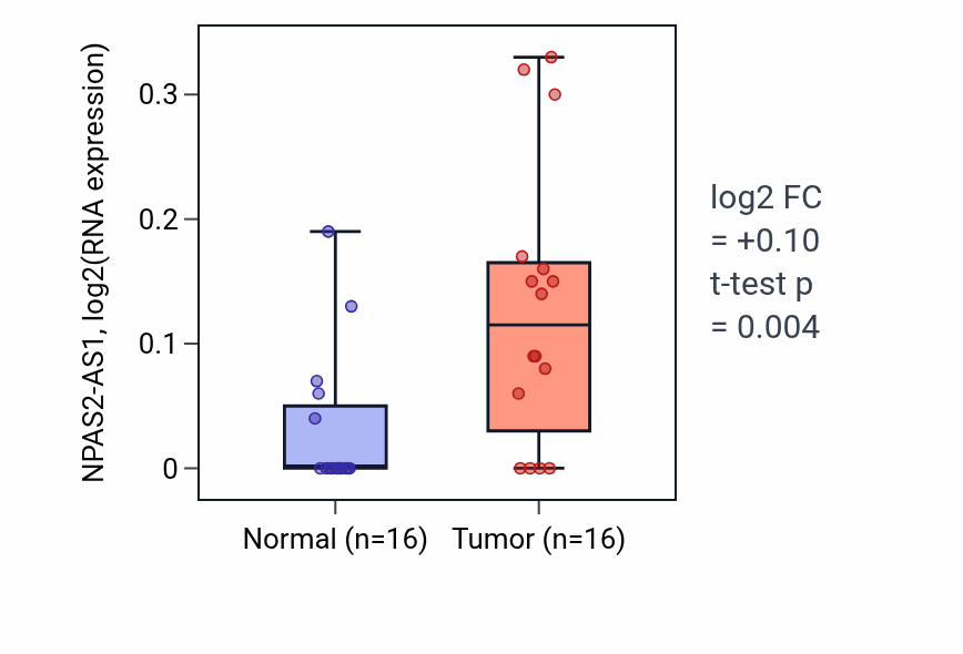 Tumor-vs-normal expression box plot for NPAS2-AS1 in HNSC.