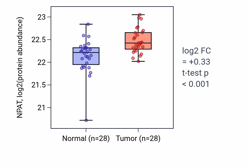 Tumor-vs-normal mass-spec protein box plot for NPAT in LUAD.