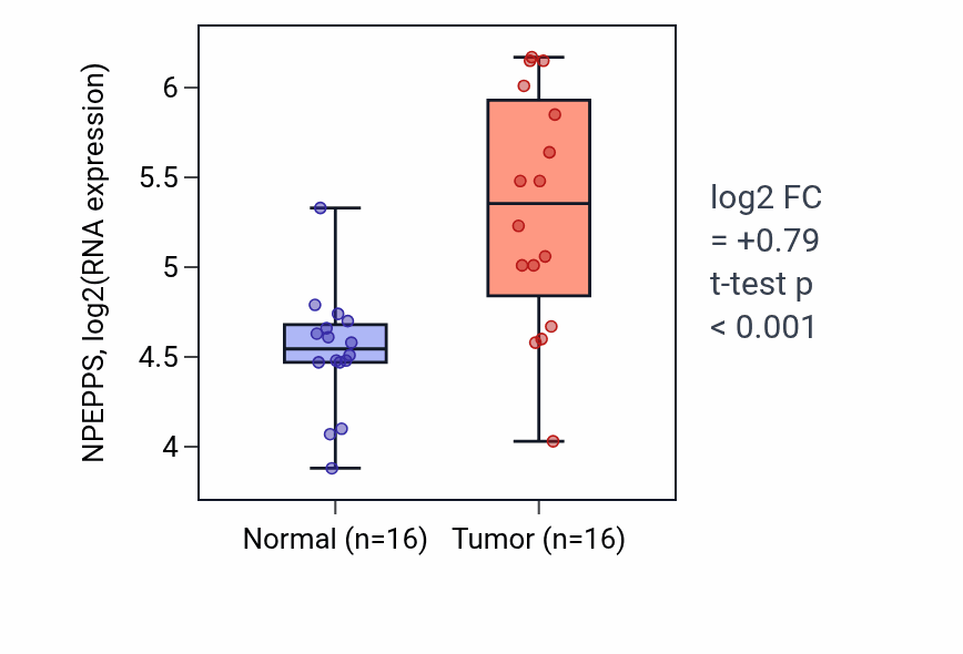 Tumor-vs-normal expression box plot for NPEPPS RNA in KIRP.