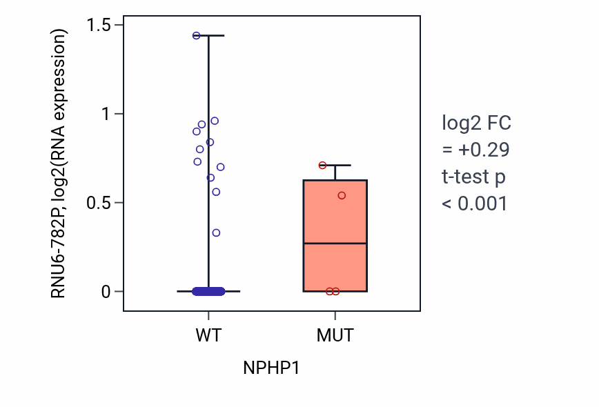 Box plot of RNU6-782P in NPHP1-low vs NPHP1-high samples in LUAD.