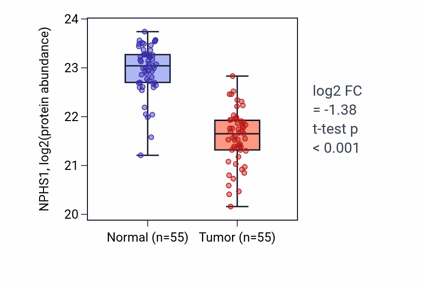 Tumor-vs-normal mass-spec protein box plot for NPHS1 in CCRCC.