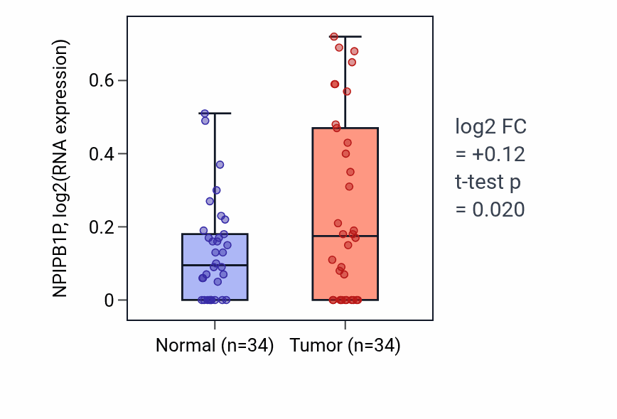 Tumor-vs-normal expression box plot for NPIPB1P in COAD.