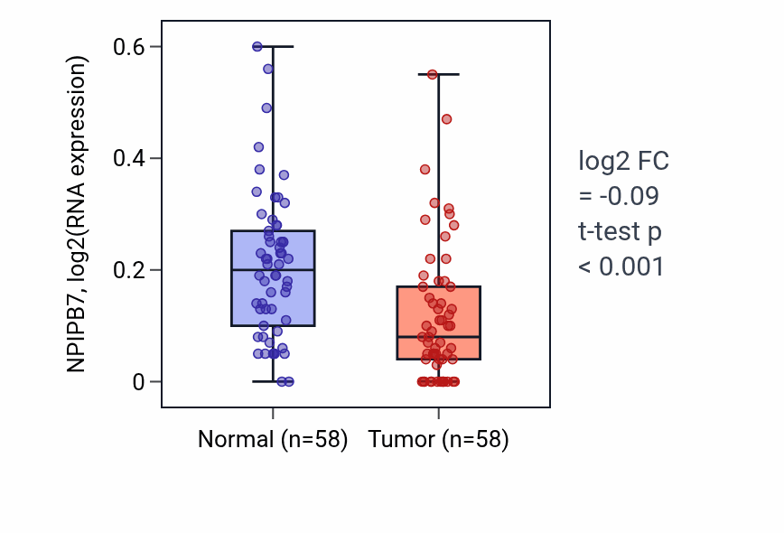 Tumor-vs-normal expression box plot for NPIPB7 in THCA.