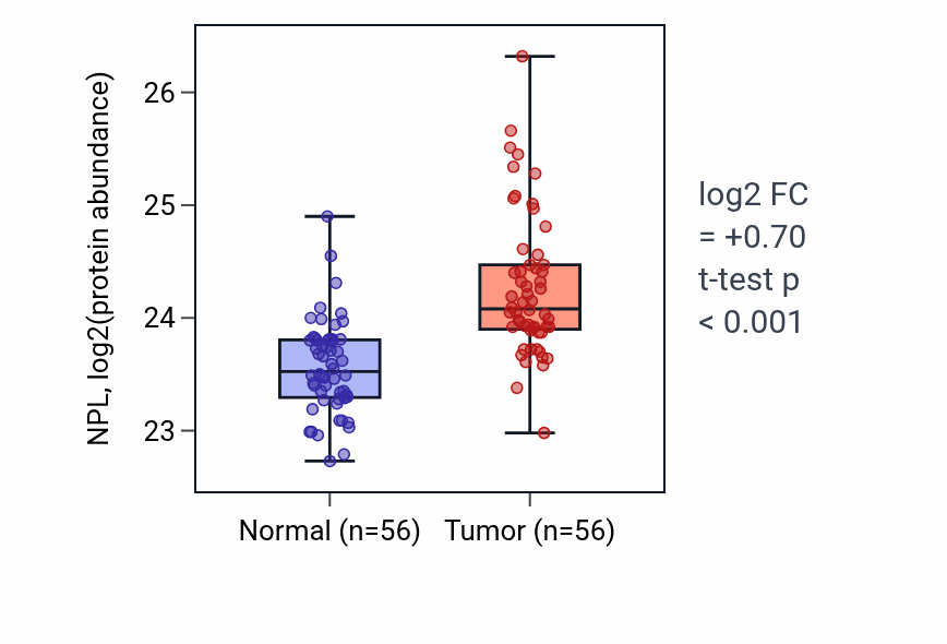 Tumor-vs-normal mass-spec protein box plot for NPL in HNSC.