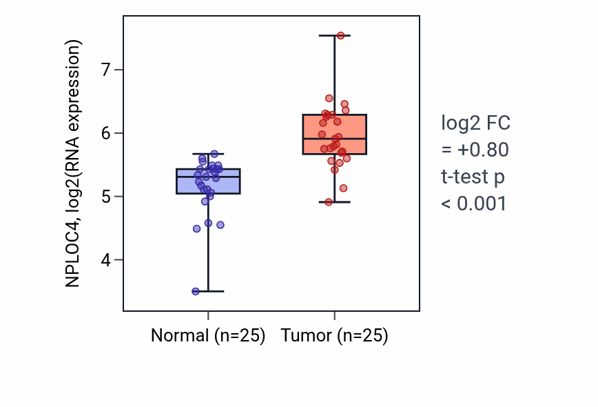 Tumor-vs-normal expression box plot for NPLOC4 RNA in HNSC.