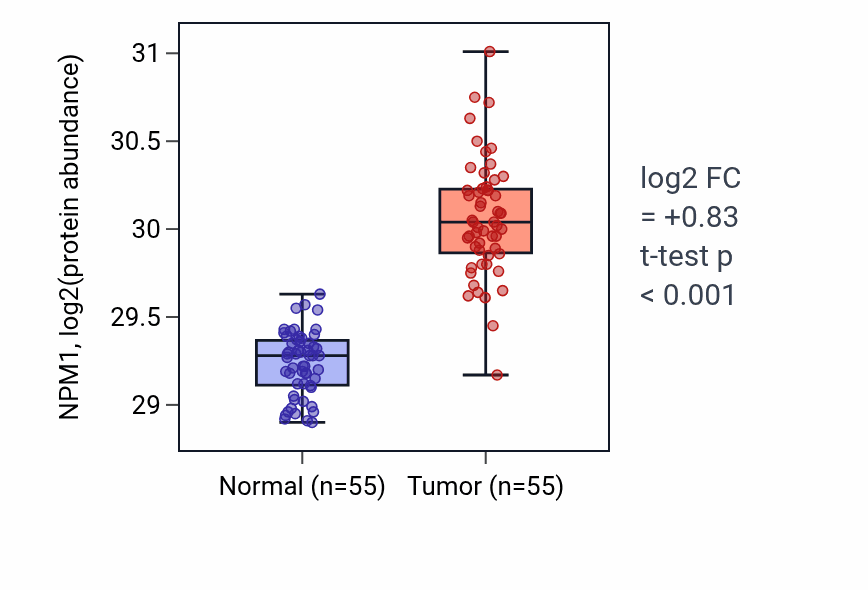 Tumor-vs-normal mass-spec protein box plot for NPM1 in COAD.