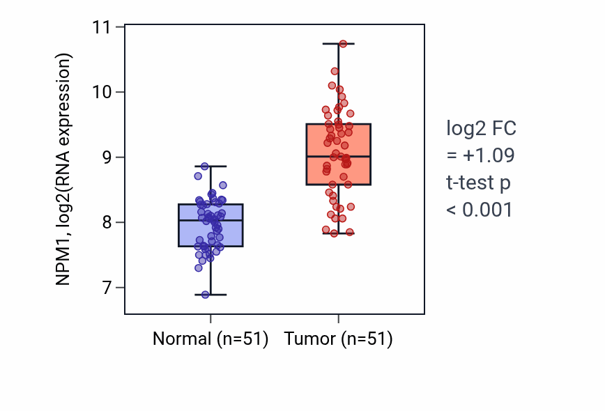 Tumor-vs-normal expression box plot for NPM1 RNA in KIRC.