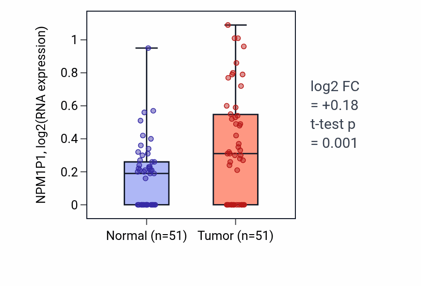 Tumor-vs-normal expression box plot for NPM1P1 in KIRC.