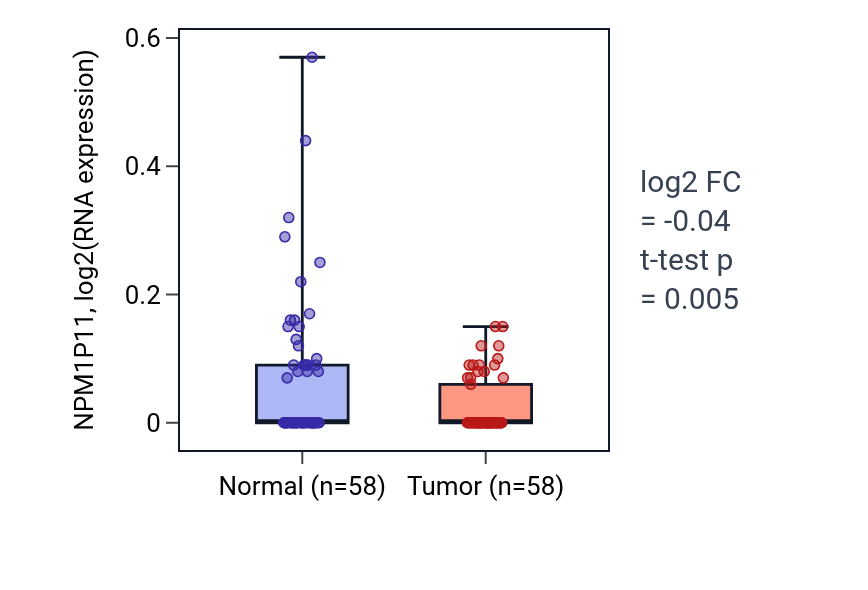 Tumor-vs-normal expression box plot for NPM1P11 in THCA.