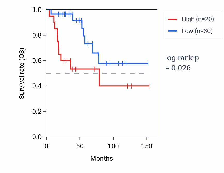 Kaplan&ndash;Meier survival curve for NPM1P19 RNA expression in ACC: high vs low expression groups.