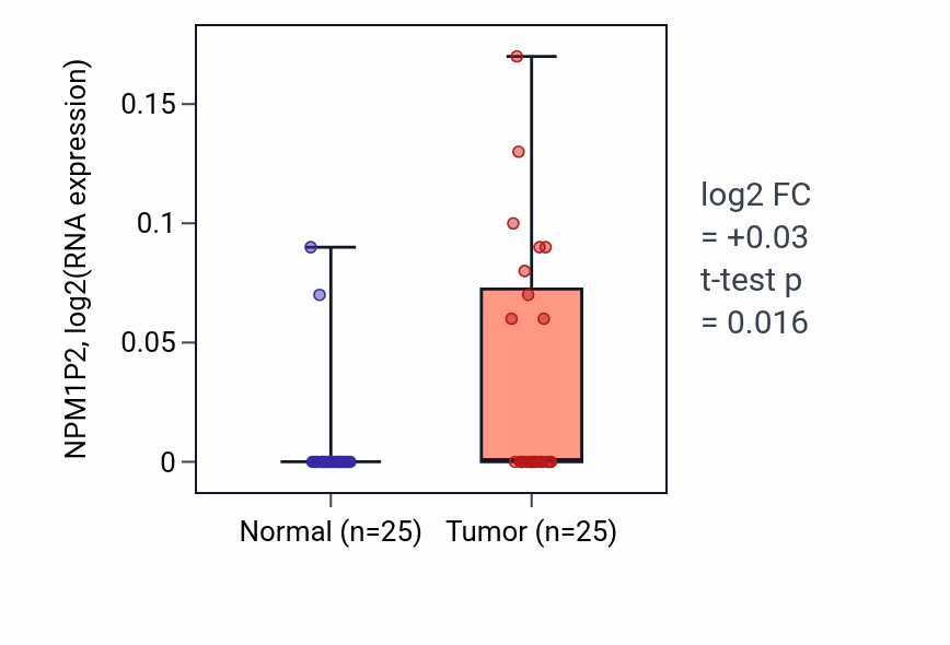 Tumor-vs-normal expression box plot for NPM1P2 in HNSC.