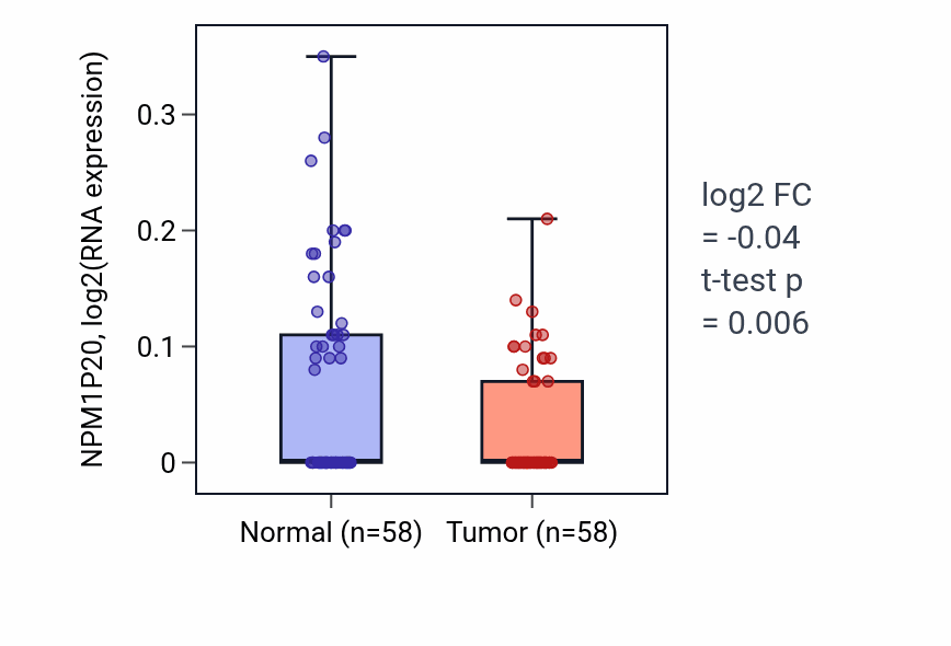 Tumor-vs-normal expression box plot for NPM1P20 in THCA.