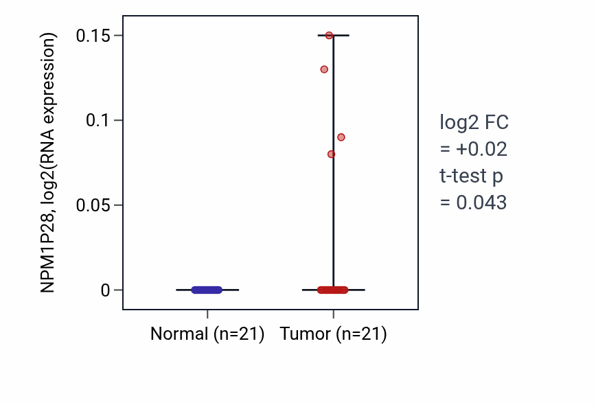 Tumor-vs-normal expression box plot for NPM1P28 in STAD.
