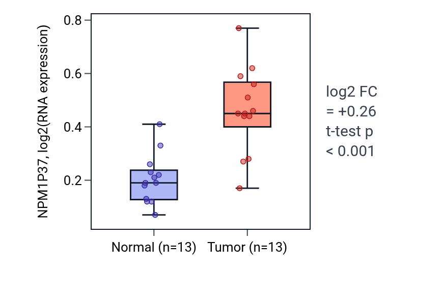 Tumor-vs-normal expression box plot for NPM1P37 in KIRC.