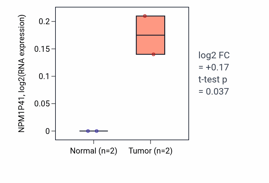 Tumor-vs-normal expression box plot for NPM1P41 in UCEC.