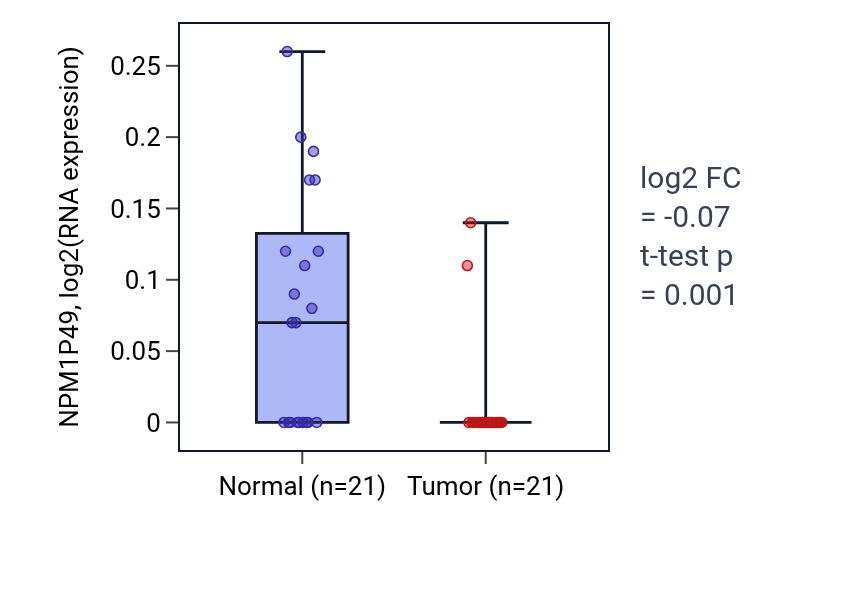 Tumor-vs-normal expression box plot for NPM1P49 in KIRP.
