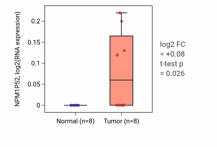Tumor-vs-normal expression box plot for NPM1P52 in COAD.