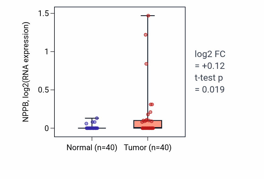 Tumor-vs-normal expression box plot for NPPB RNA in HNSC.