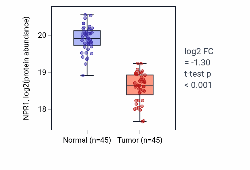 Tumor-vs-normal mass-spec protein box plot for NPR1 in LSCC.
