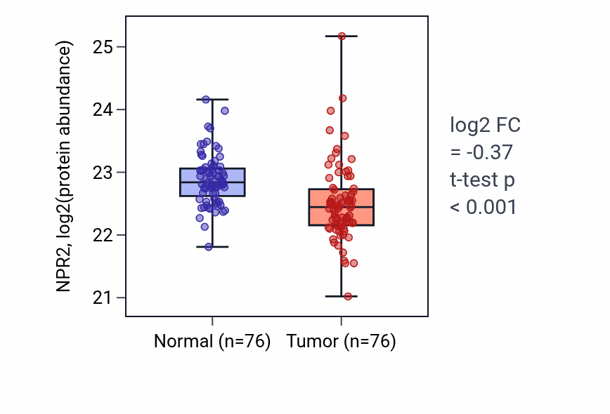 Tumor-vs-normal mass-spec protein box plot for NPR2 in LSCC.