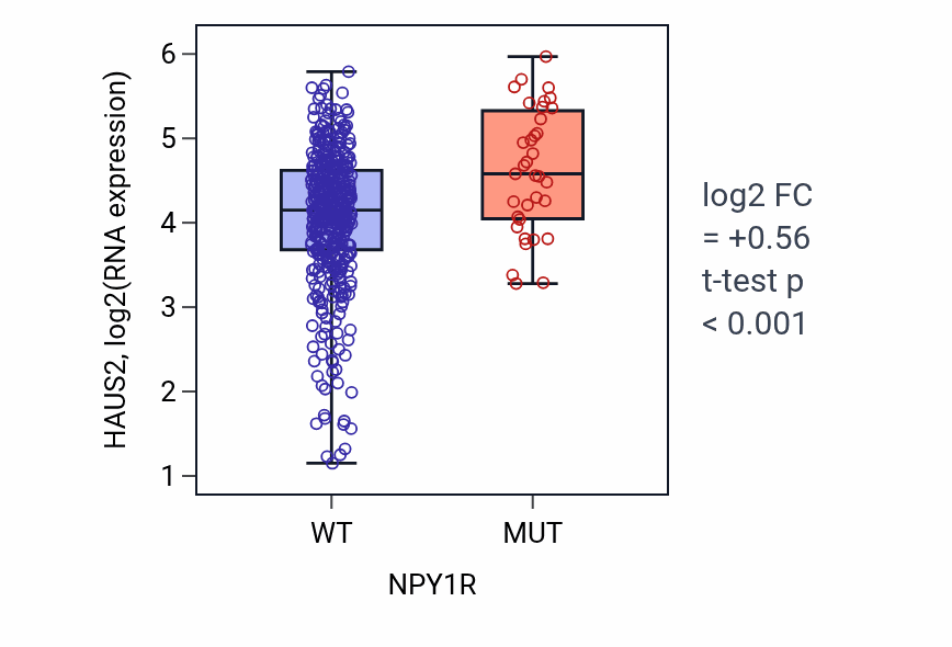 Box plot of HAUS2 in NPY1R-low vs NPY1R-high samples in SKCM.