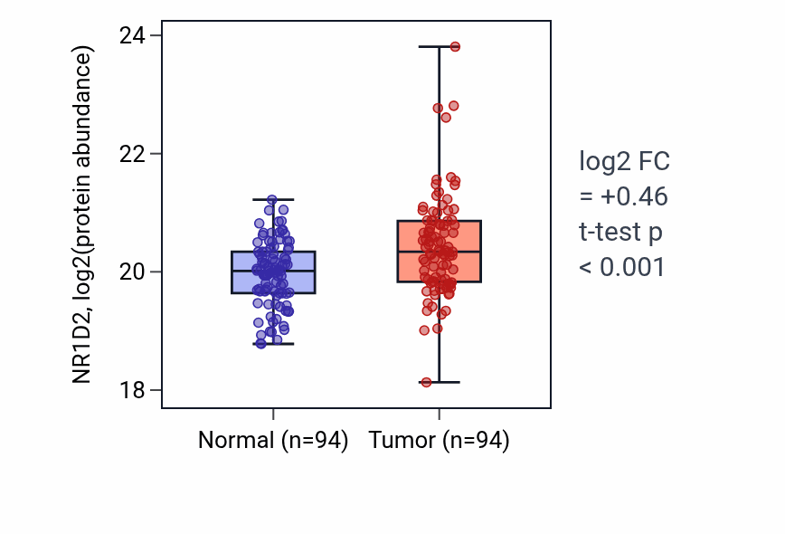 Tumor-vs-normal mass-spec protein box plot for NR1D2 in LSCC.
