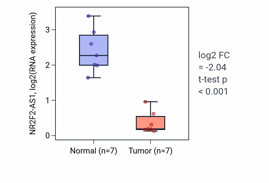 Tumor-vs-normal expression box plot for NR2F2-AS1 RNA in KICH.
