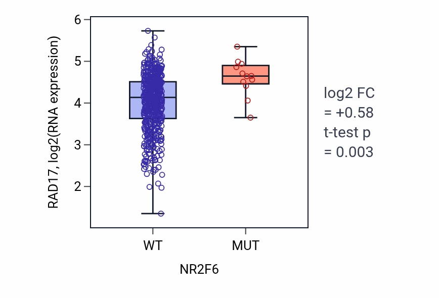 Box plot of RAD17 in NR2F6-low vs NR2F6-high samples in UCEC.
