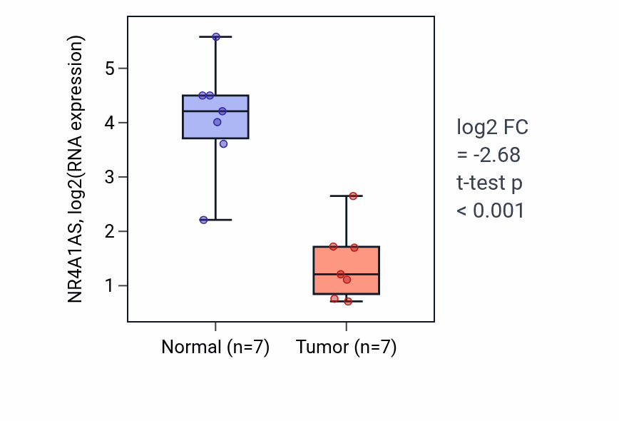 Tumor-vs-normal expression box plot for NR4A1AS RNA in BLCA.