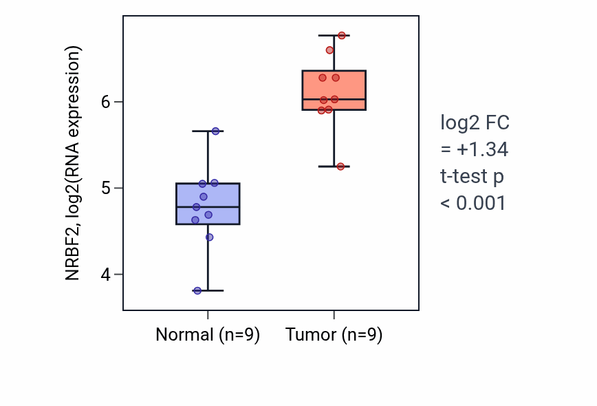 Tumor-vs-normal expression box plot for NRBF2 RNA in HNSC.