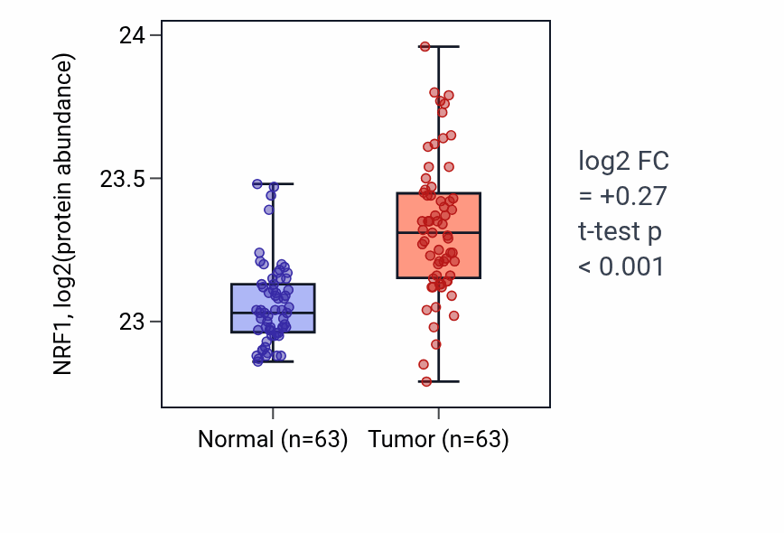 Tumor-vs-normal mass-spec protein box plot for NRF1 in CCRCC.