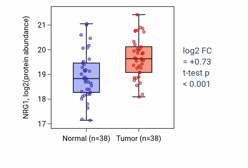 Tumor-vs-normal mass-spec protein box plot for NRG1 in HNSC.