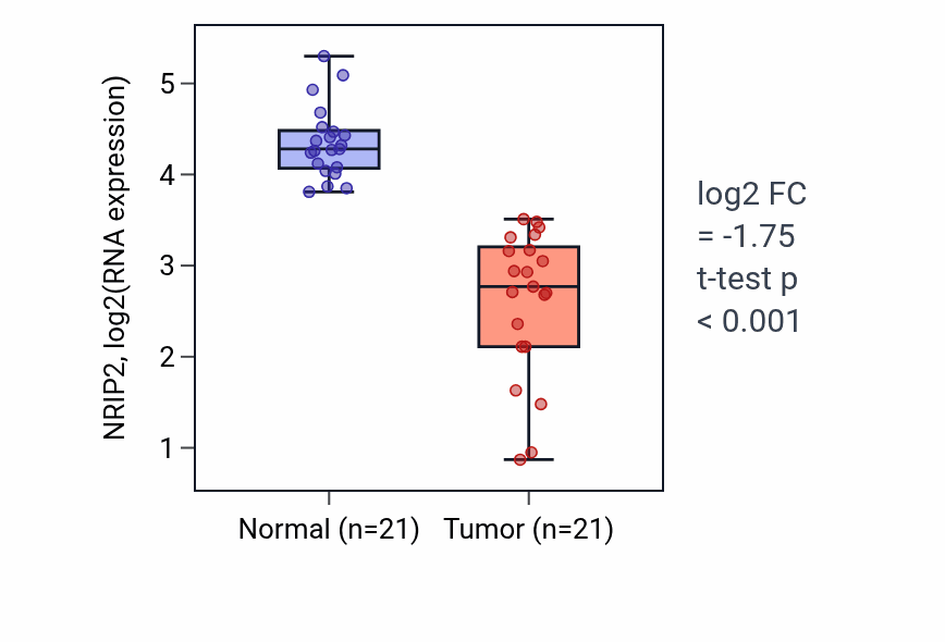 Tumor-vs-normal expression box plot for NRIP2 RNA in KIRP.