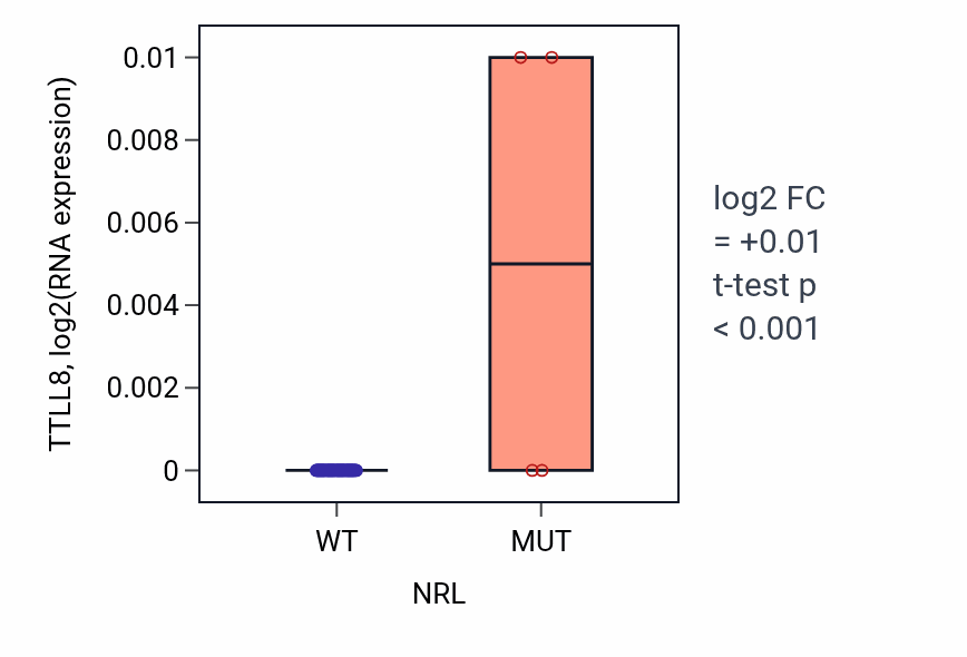 Box plot of TTLL8 in NRL-low vs NRL-high samples in LARGE_INTESTINE.