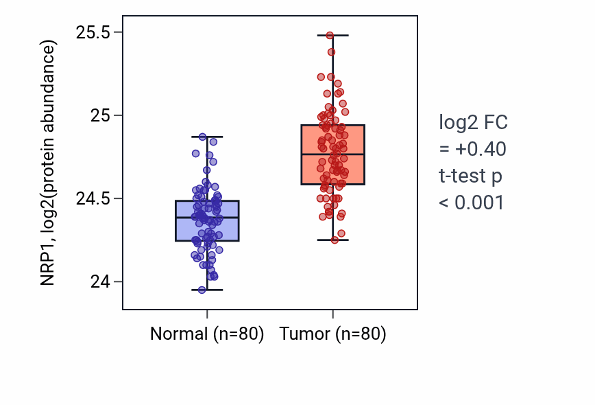 Tumor-vs-normal mass-spec protein box plot for NRP1 in CCRCC.