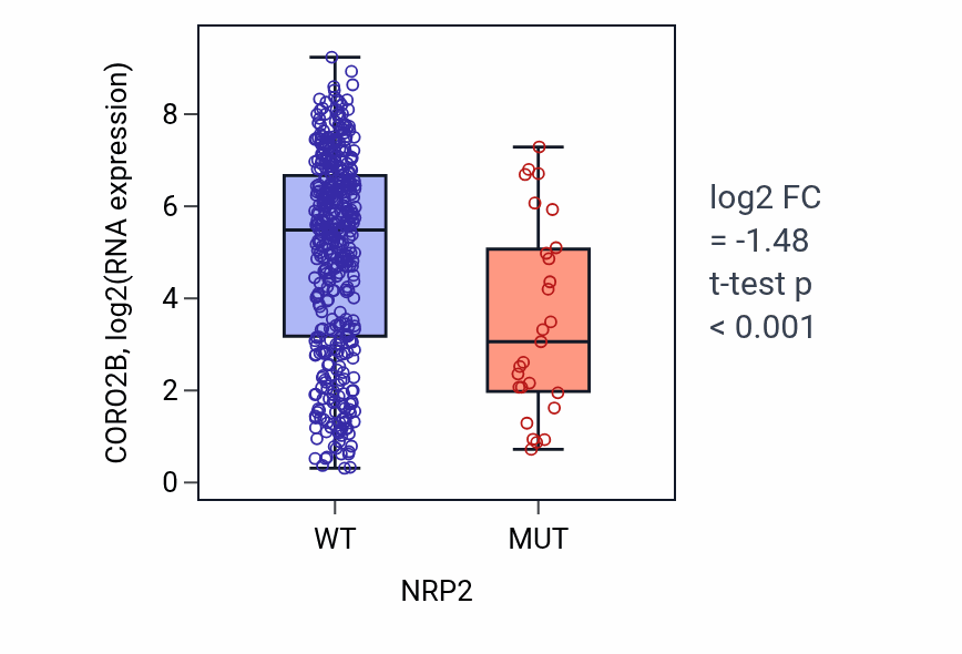 Box plot of CORO2B in NRP2-low vs NRP2-high samples in SKCM.