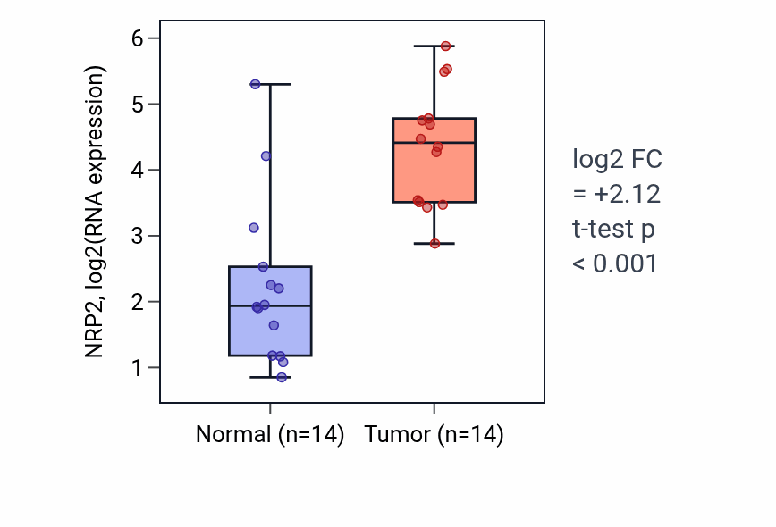 Tumor-vs-normal expression box plot for NRP2 RNA in KIRC.