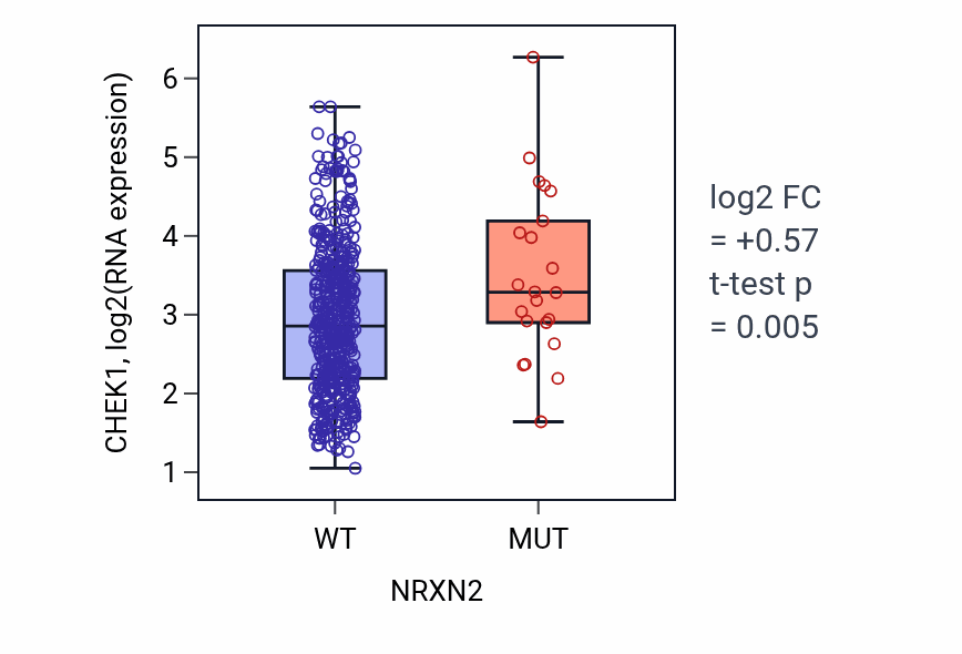 Box plot of CHEK1 in NRXN2-low vs NRXN2-high samples in LUAD.
