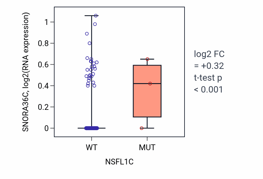 Box plot of SNORA36C in NSFL1C-low vs NSFL1C-high samples in LUSC.