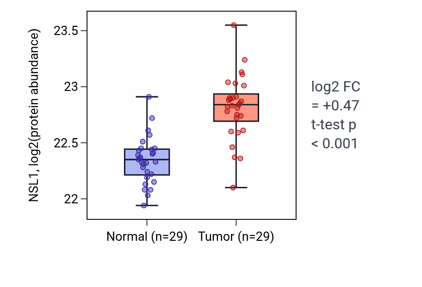 Tumor-vs-normal mass-spec protein box plot for NSL1 in CCRCC.