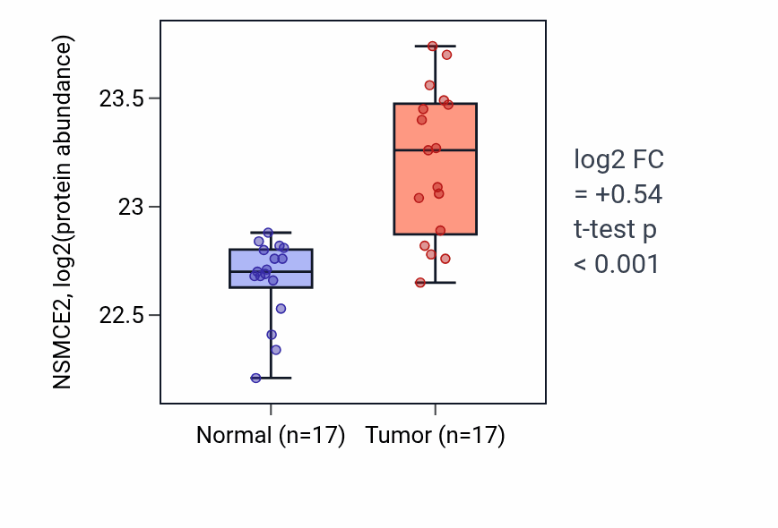 Tumor-vs-normal mass-spec protein box plot for NSMCE2 in LSCC.