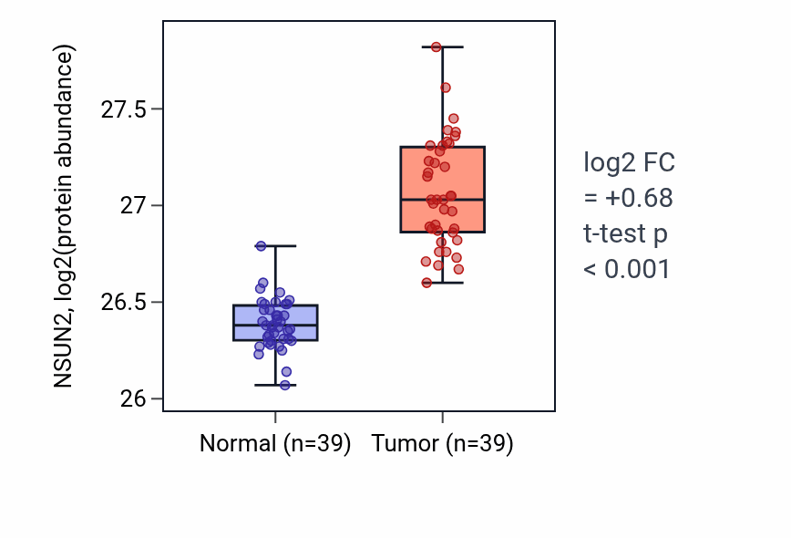 Tumor-vs-normal mass-spec protein box plot for NSUN2 in HNSC.
