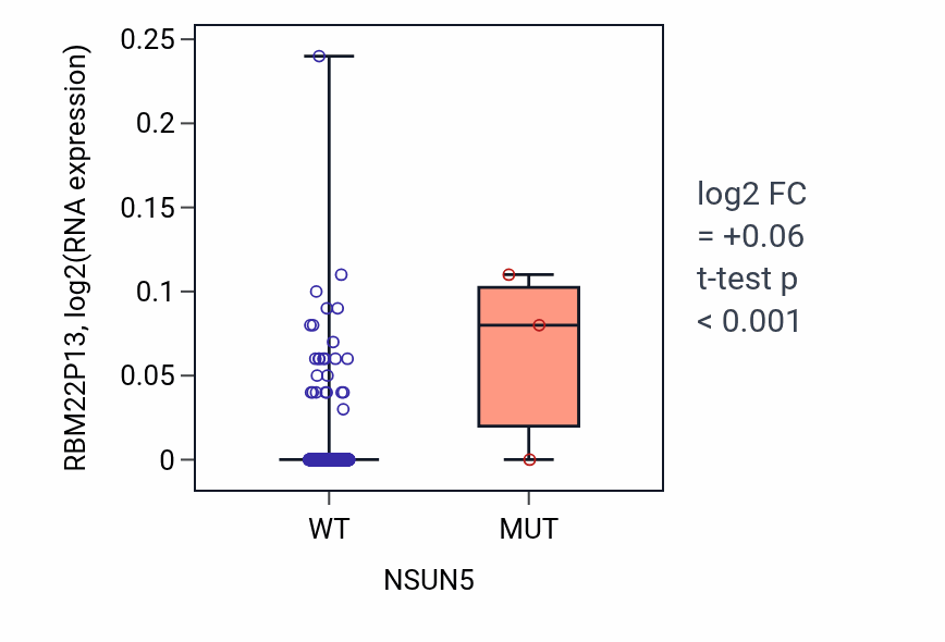 Box plot of RBM22P13 in NSUN5-low vs NSUN5-high samples in LUAD.