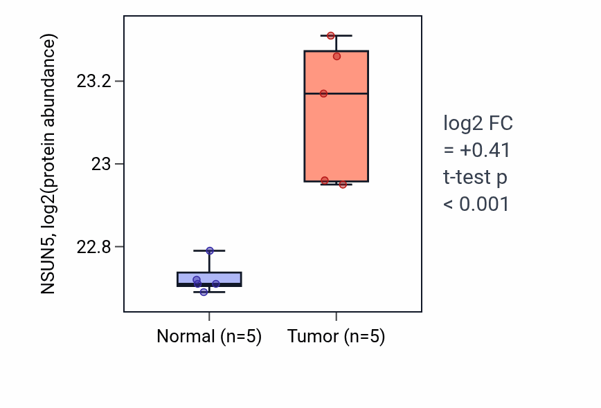 Tumor-vs-normal mass-spec protein box plot for NSUN5 in CCRCC.