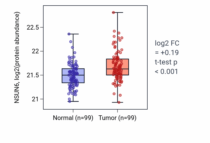Tumor-vs-normal mass-spec protein box plot for NSUN6 in LSCC.