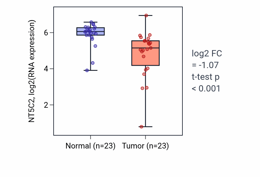 Tumor-vs-normal expression box plot for NT5C2 RNA in THCA.