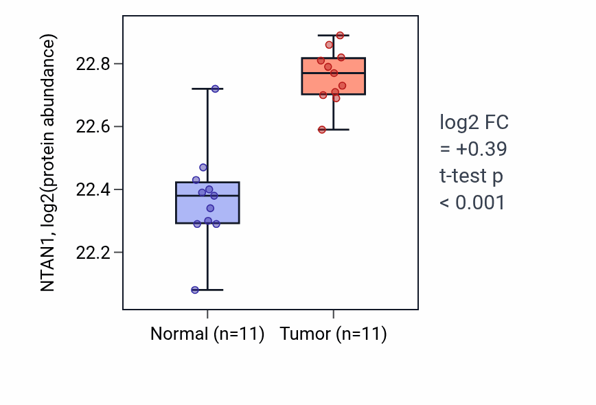 Tumor-vs-normal mass-spec protein box plot for NTAN1 in CCRCC.