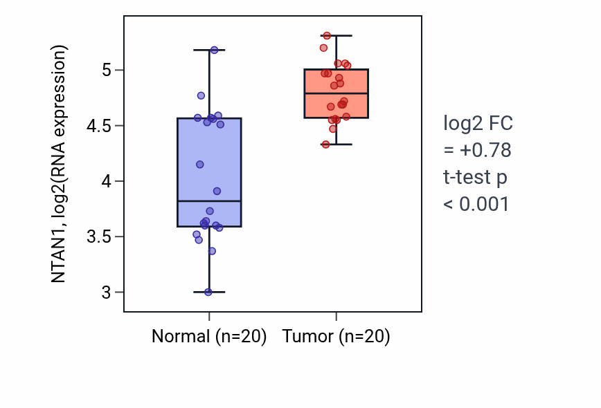 Tumor-vs-normal expression box plot for NTAN1 RNA in KIRC.